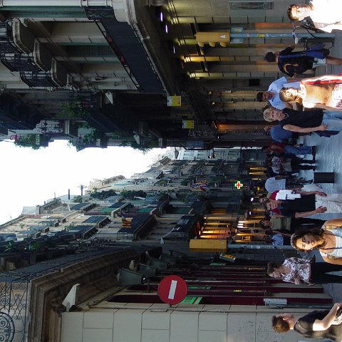 DSC03532 DSC03532