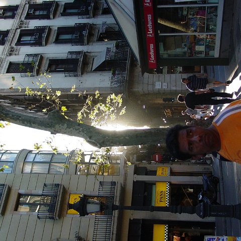 DSC03533 DSC03533