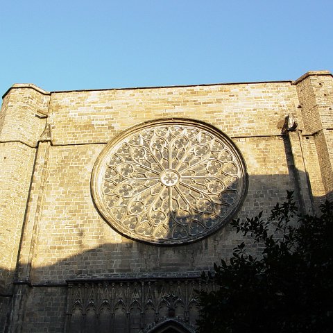 DSC03540 DSC03540