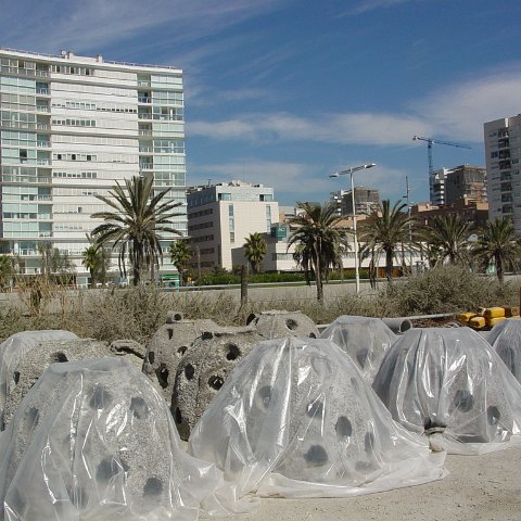 DSC03549 DSC03549