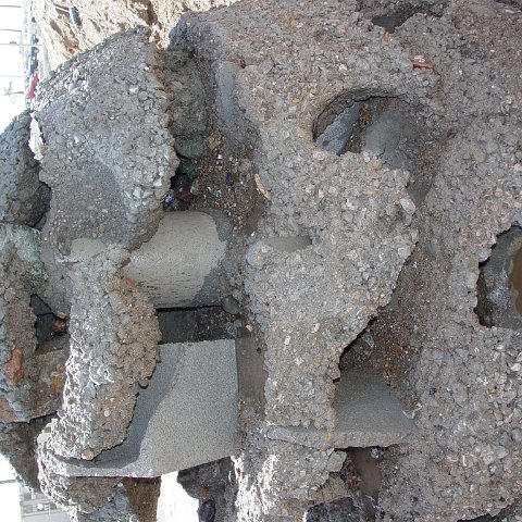DSC03556 DSC03556