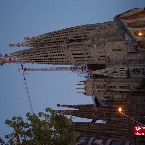 DSC03576 DSC03576