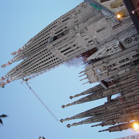 DSC03577 DSC03577