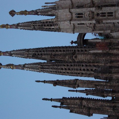 DSC03583 DSC03583