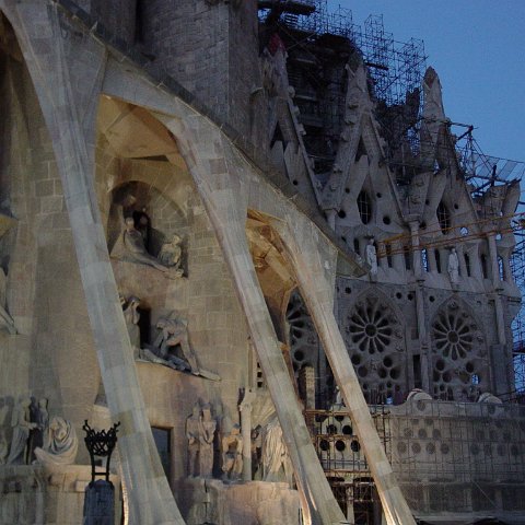 DSC03586 DSC03586