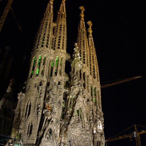 DSC03587 DSC03587