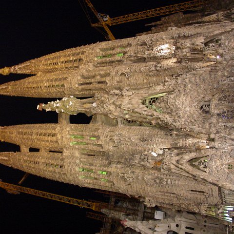 DSC03589 DSC03589