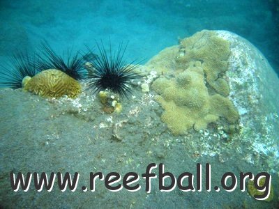 2004may_statia_214_resize