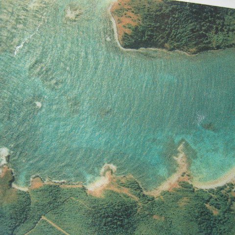 stluciadonkeyandnonamebeach_048 stluciadonkeyandnonamebeach_048