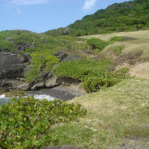 2005dec-stlucia1_050