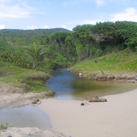 stluciadonkeyandnonamebeach_076 stluciadonkeyandnonamebeach_076