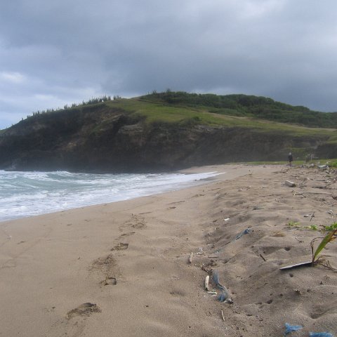 stluciadonkeyandnonamebeach_079 stluciadonkeyandnonamebeach_079