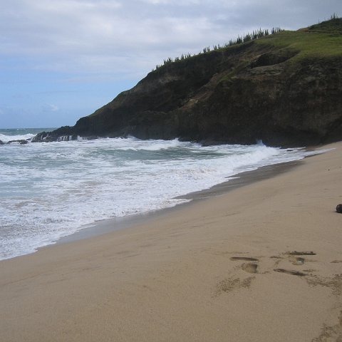 stluciadonkeyandnonamebeach_081 stluciadonkeyandnonamebeach_081