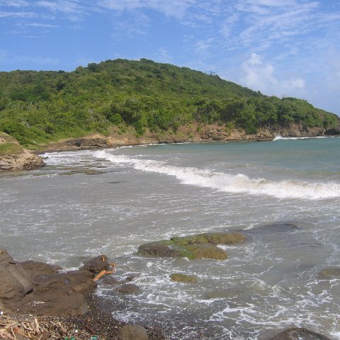 stluciadonkeyandnonamebeach_016 stluciadonkeyandnonamebeach_016