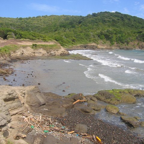 stluciadonkeyandnonamebeach_018 stluciadonkeyandnonamebeach_018