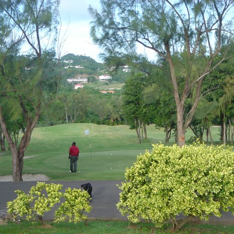 2005dec-stlucia1_084