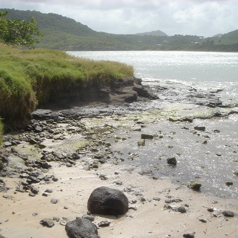 2005dec-stlucia1_028