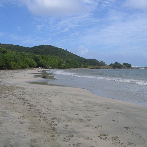 stluciadonkeyandnonamebeach_007 stluciadonkeyandnonamebeach_007