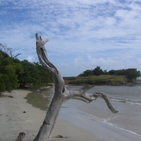 stluciadonkeyandnonamebeach_011 stluciadonkeyandnonamebeach_011