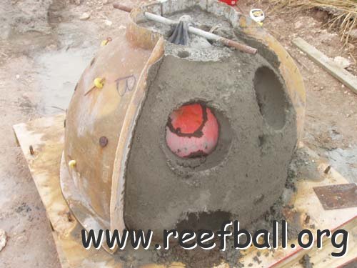 reef_ball_may_05_028