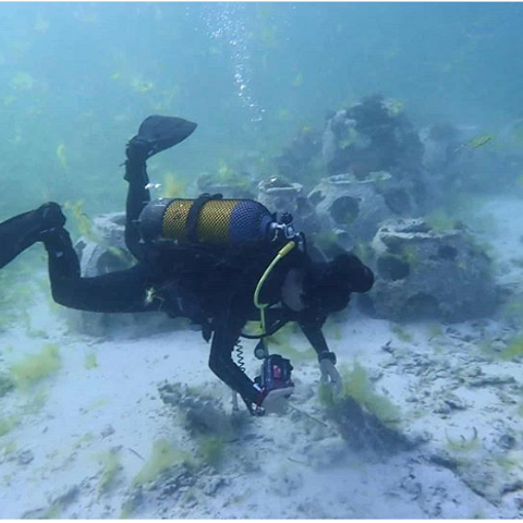 Tanzanian Reef Ball Projects and Photos Tanzanian Reef Ball Projects and Photos