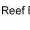 Port Isabel Reef Ball Reef (PS-1169L)