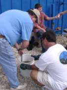 eternalreefsnov2005