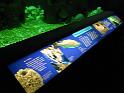 exhibit