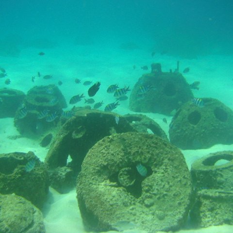 shallownearshorereef