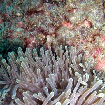 P1018939 P1018939