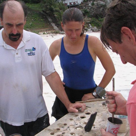 coralpropagation