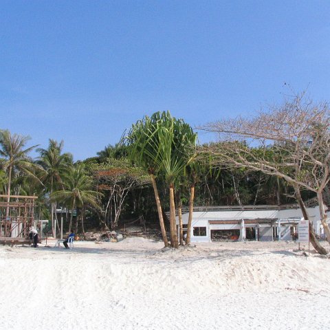 coralsurverynevisfourseasons_144 coralsurverynevisfourseasons_144