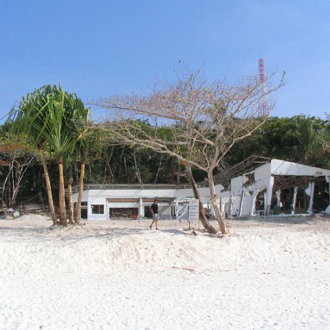 coralsurverynevisfourseasons_148 coralsurverynevisfourseasons_148
