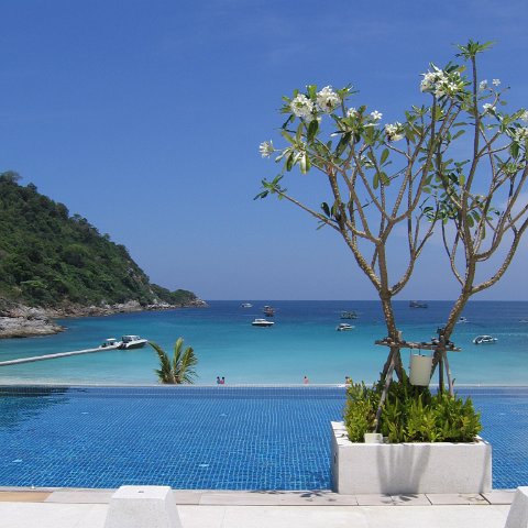 pool_and_frang_1 pool_and_frang_1