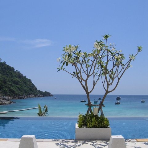 pool_and_frangipani_best pool_and_frangipani_best