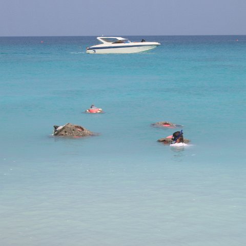 img_0101 img_0101