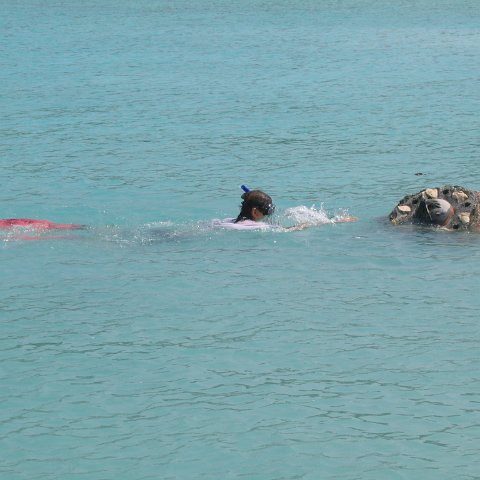 img_0104 img_0104