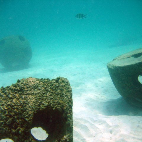 img_0141 img_0141