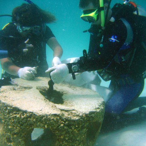 img_0144 img_0144
