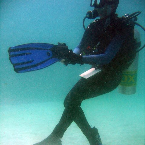 img_0155 img_0155