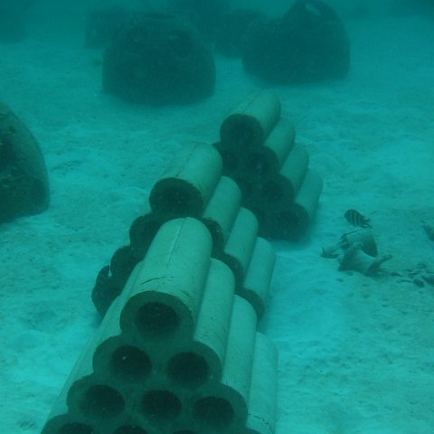 fad1 