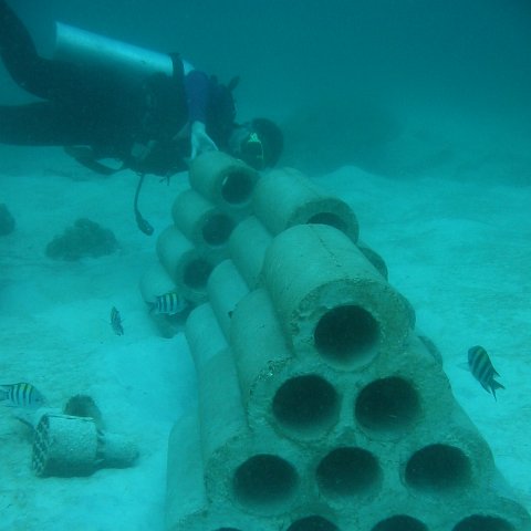fad2 