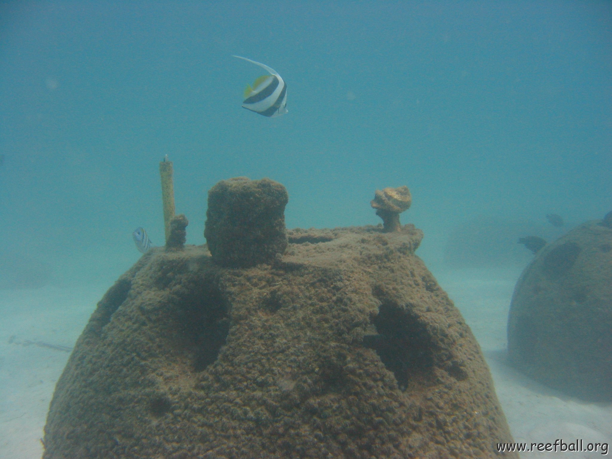 marjo_april_1__2005_026 