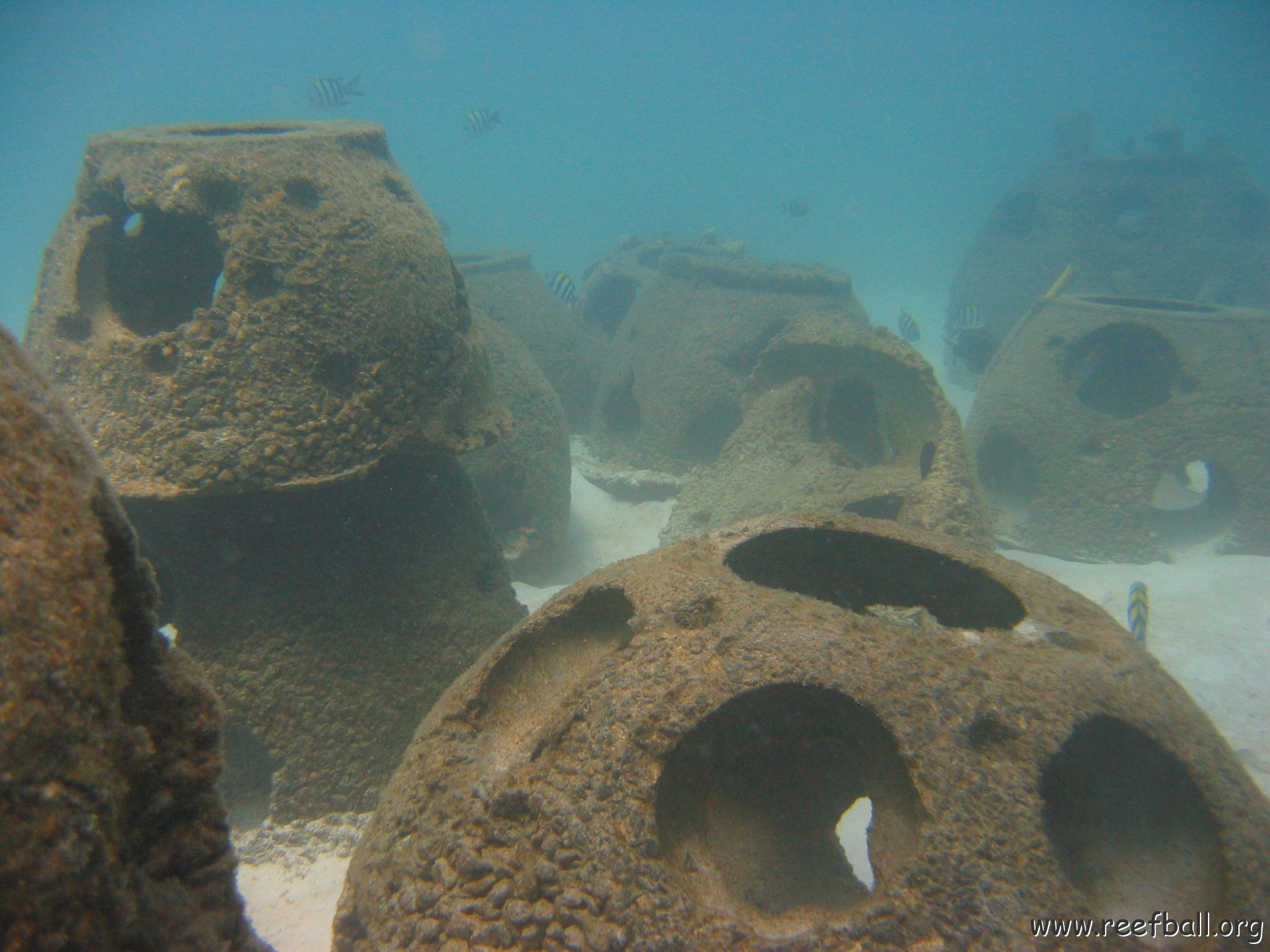 marjo_april_1__2005_032 