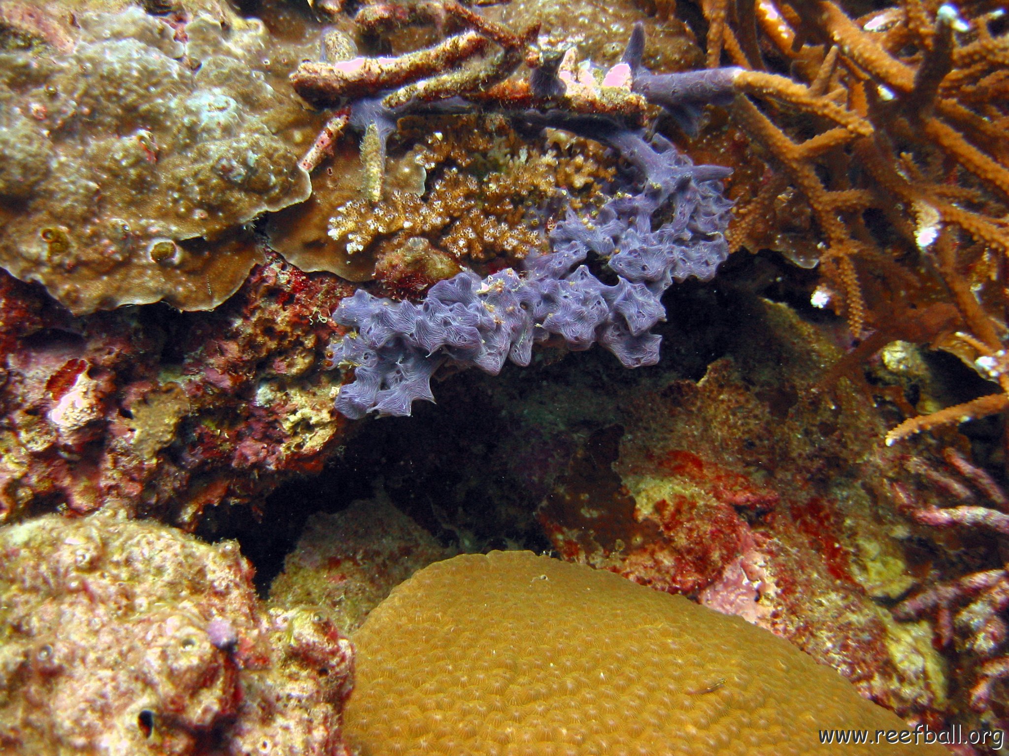 marjo_febr_04_025 