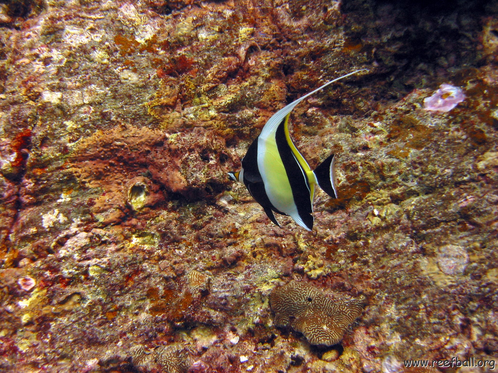 marjo_febr_04_041 