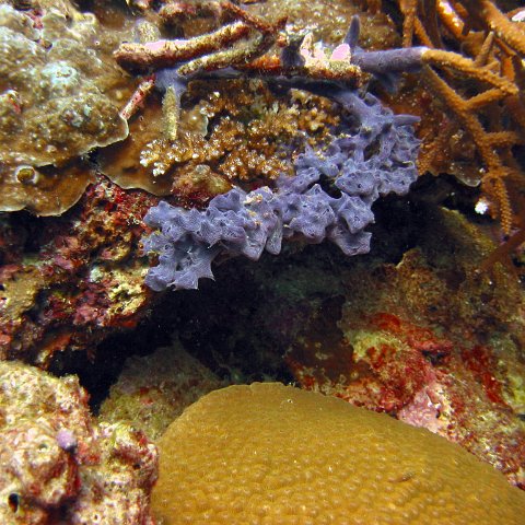 marjo_febr_04_025