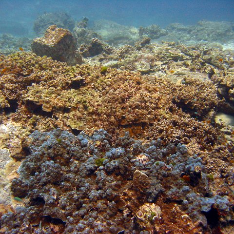 marjo_febr_04_044