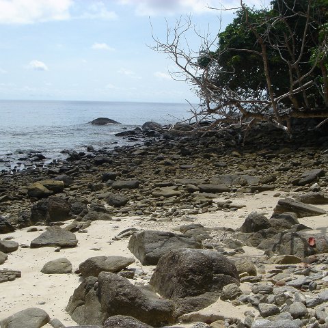 2005oct13racha01_(33) 