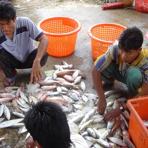 2005oct15_fishingvillage_028 2005oct15_fishingvillage_028